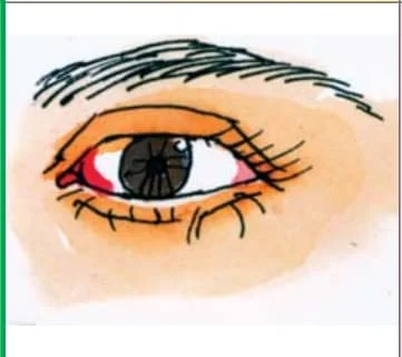 Class 8 Hindi Sem 1 Chapter 9 Swadhyay 