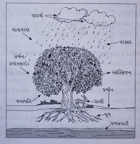 Class 7 Science Chapter 12 Swadhyay (ધોરણ 7 વિજ્ઞાન પાઠ 12 સ્વાધ્યાય) 2 Class 7 Science Chapter 12 Swadhyay