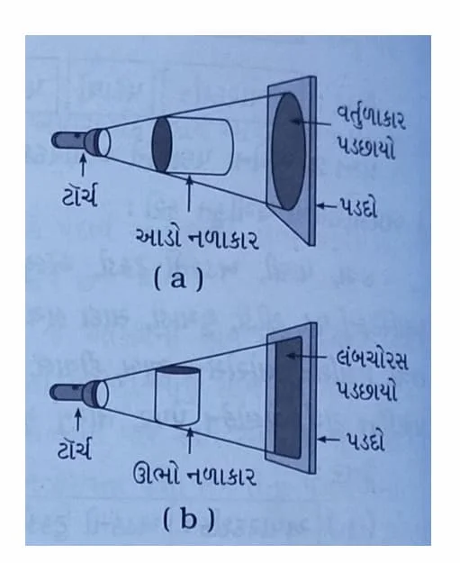 Class 6 Science Chapter 8 Swadhyay (ધોરણ 6 વિજ્ઞાન પાઠ 8 સ્વાધ્યાય) 2 Class 6 Science Chapter 8 Swadhyay