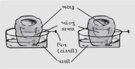 Std 7 Science Chapter 7 Mcq Gujarati