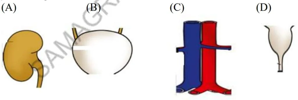 Std 7 Science Chapter 7 Mcq Gujarati