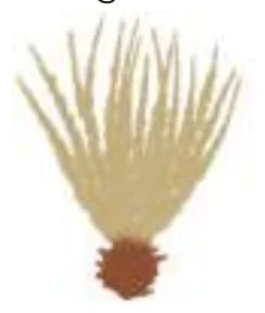 Std 7 Science Chapter 8 Mcq Gujarati