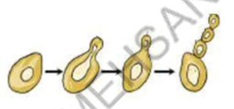 Std 7 Science Chapter 8 Mcq Gujarati