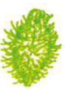 Std 7 Science Chapter 8 Mcq Gujarati