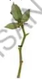 Std 7 Science Chapter 8 Mcq Gujarati