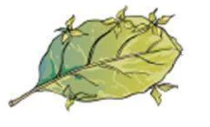 Std 7 Science Chapter 8 Mcq Gujarati