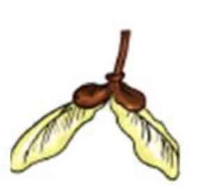 Std 7 Science Chapter 8 Mcq Gujarati