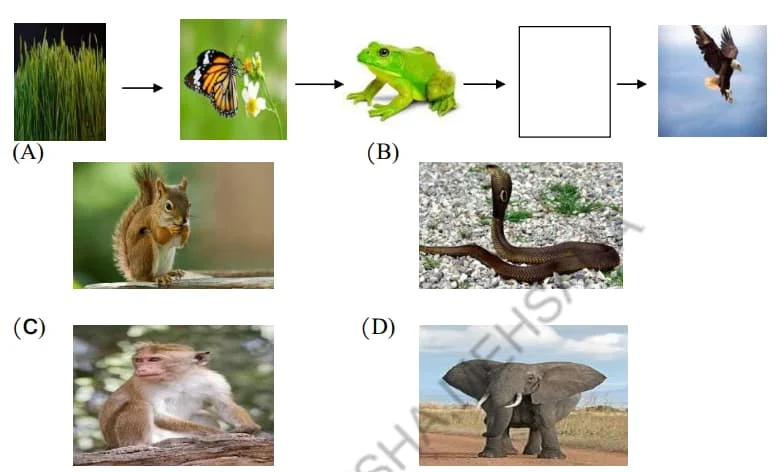 Std 7 Science Chapter 12 Mcq Gujarati