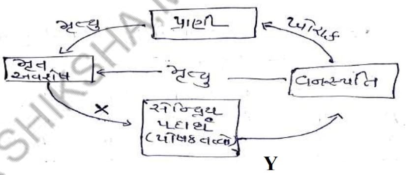 Std 7 Science Chapter 12 Mcq Gujarati