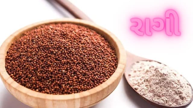 2 Gujarat Ni Bhugol Mcq Gujarati (ગુજરાતની ભૂગોળ MCQ) 2 2 Gujarat Ni Bhugol Mcq Gujarati