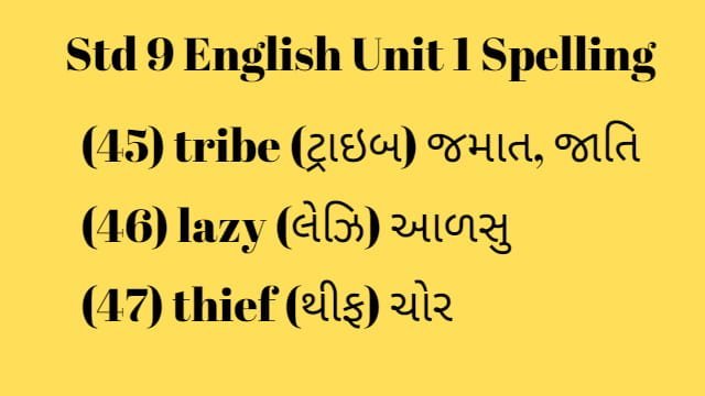Std 9 English Unit 1 Spelling (ધોરણ 9 અંગ્રેજી એકમ 1 સ્પેલિંગ) 3 Std 9 English Unit 1 Spelling